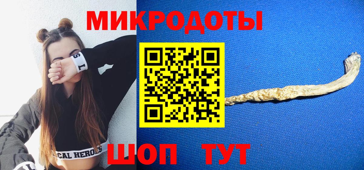 Галлюциногенные грибы Psilocybine cubensis Курск