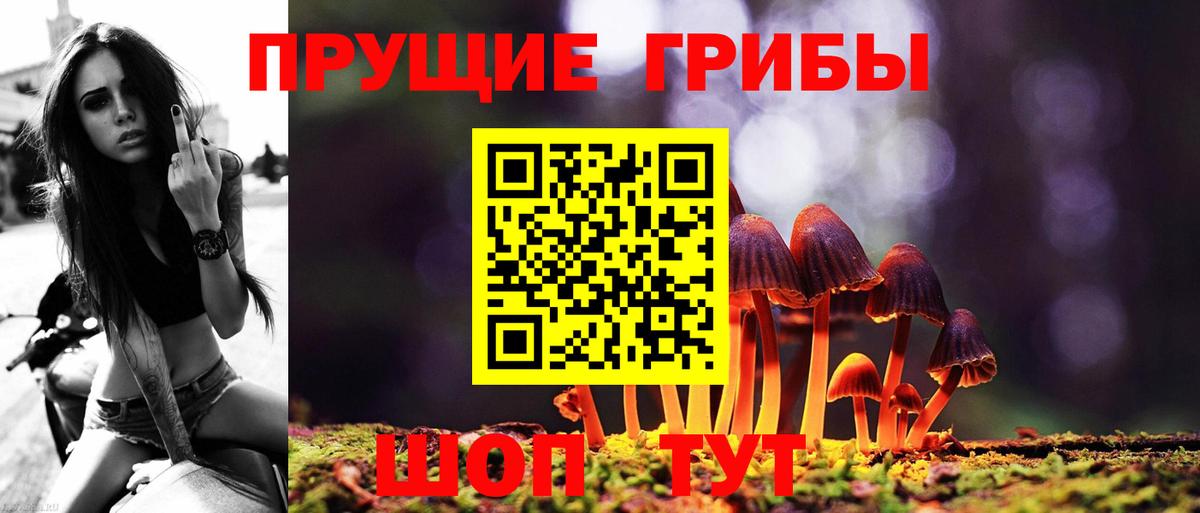 Галлюциногенные грибы Magic Shrooms  Вход с VPN  Галлюциногенные грибы Cubensis  Курск 